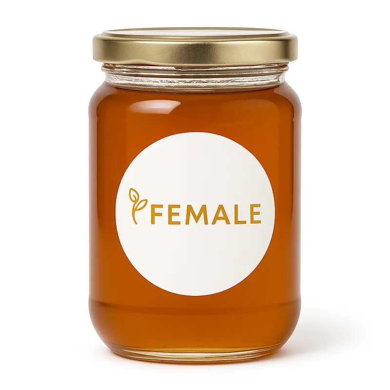 Eucalyptus honing (500 gram)