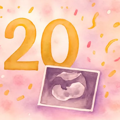 20 weken zwanger: halverwege en de grote echo