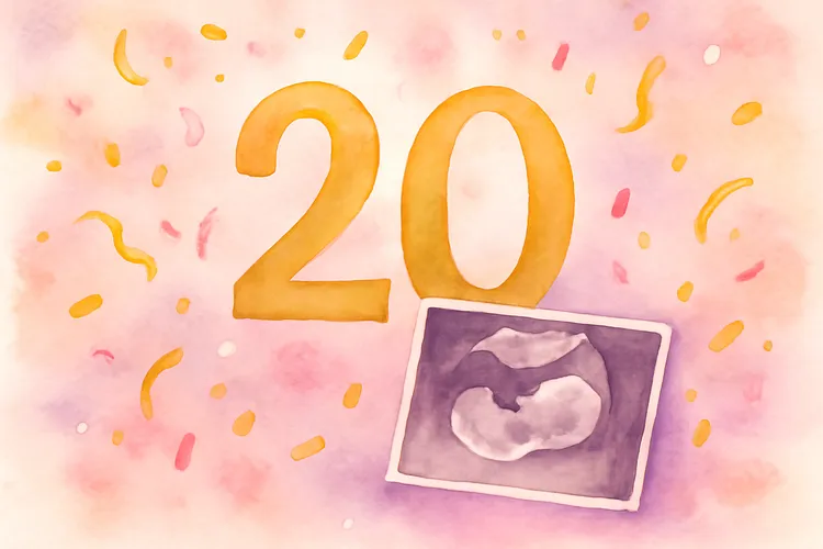 20 weken zwanger: halverwege en de grote echo