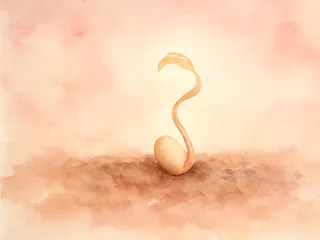 1 week zwanger: dit gebeurt er in de eerste week