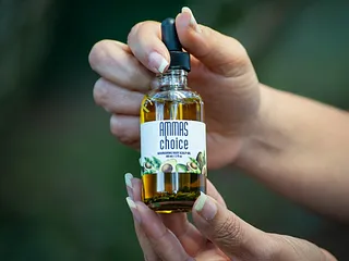 Beste haarolie voor droog haar: vergelijking van 6 populaire oliën