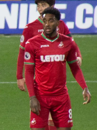 Leroy Fer