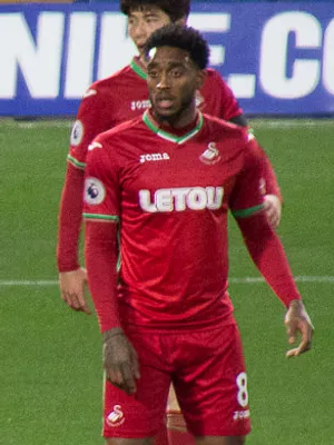 Leroy Fer