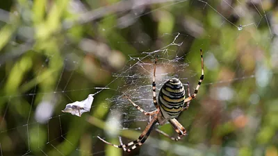 Suzan & Freek laten eerste video’s van baby Sef zien