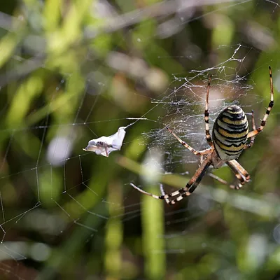 Suzan & Freek laten eerste video’s van baby Sef zien