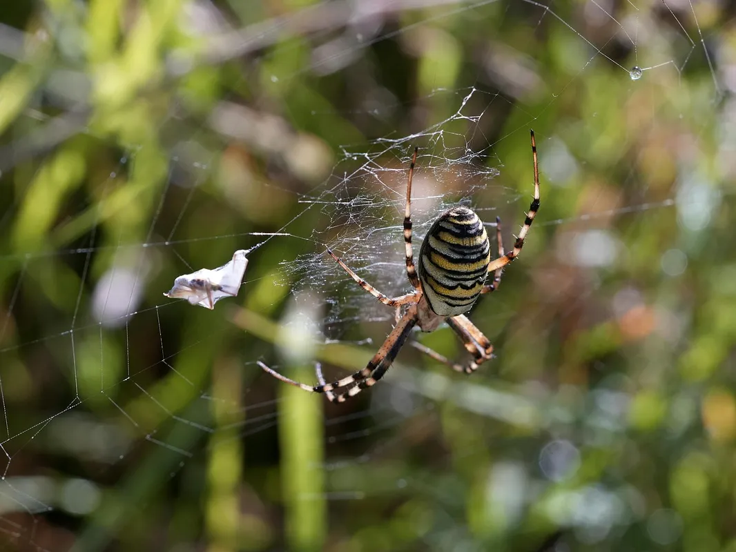 Suzan & Freek laten eerste video’s van baby Sef zien