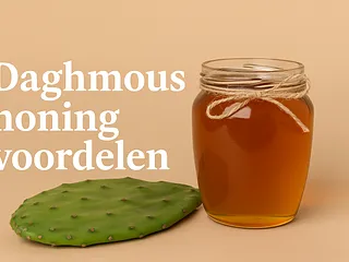 De voordelen van Daghmous honing