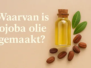 Waarvan is Jojoba olie gemaakt?