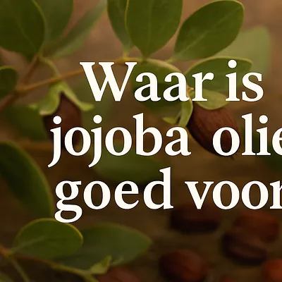 Waar is Jojoba olie goed voor?