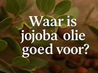 Waar is Jojoba olie goed voor?