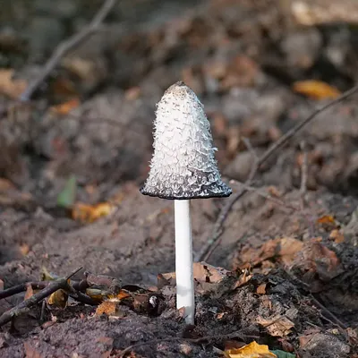 Herfst skinfail? 7 fouten die je huid nu haat