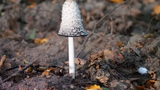 Herfst skinfail? 7 fouten die je huid nu haat