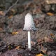 Herfst skinfail? 7 fouten die je huid nu haat