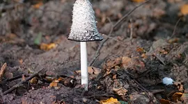 Herfst skinfail? 7 fouten die je huid nu haat