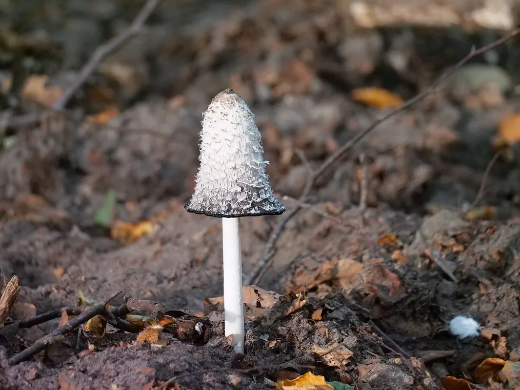 Herfst skinfail? 7 fouten die je huid nu haat