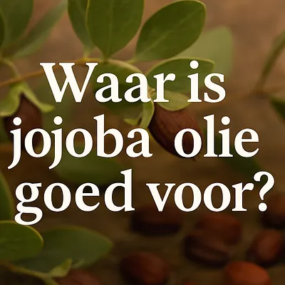 Waar is Jojoba olie goed voor?